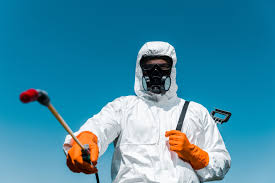 Best Organic or Eco-Friendly Pest Control  in Newport, VT